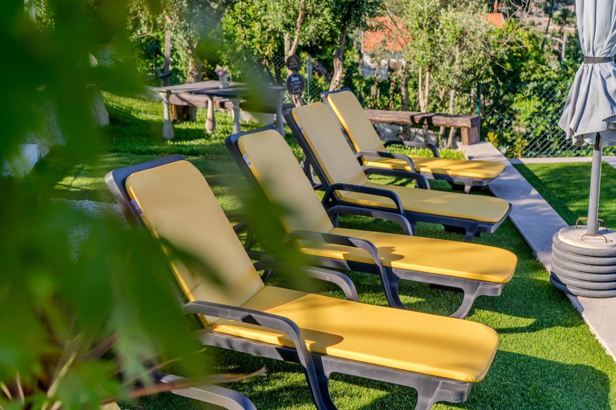 Paradise Farm With Pool And Jacuzzi In Douro Farm stay Santa Cruz do Douro