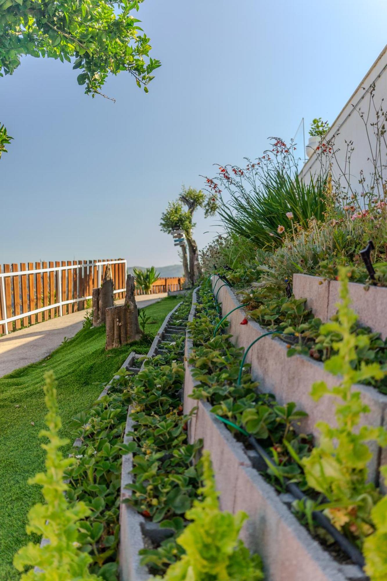 Paradise Farm With Pool And Jacuzzi In Douro *