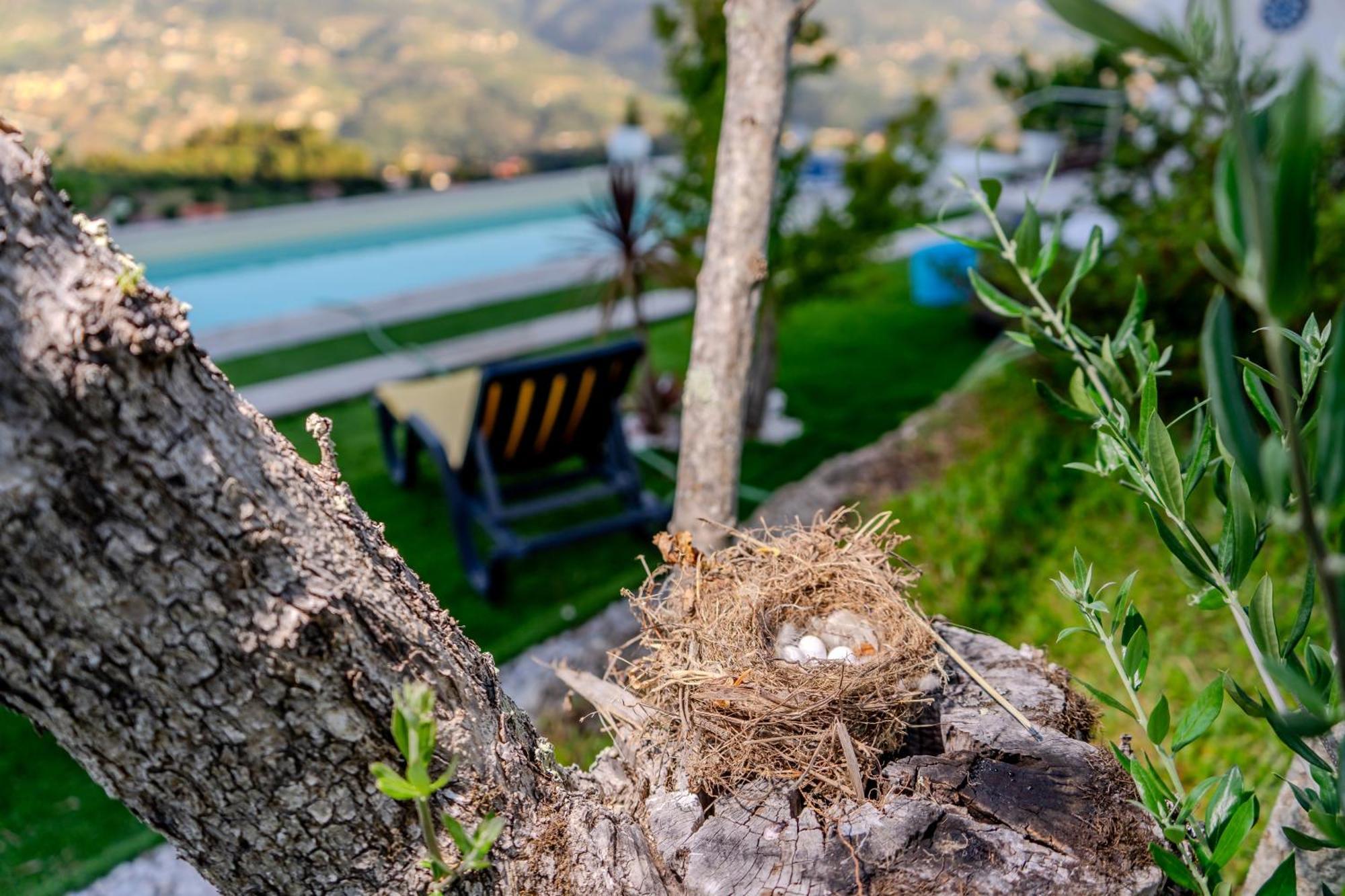 Paradise Farm With Pool And Jacuzzi In Douro Santa Cruz do Douro